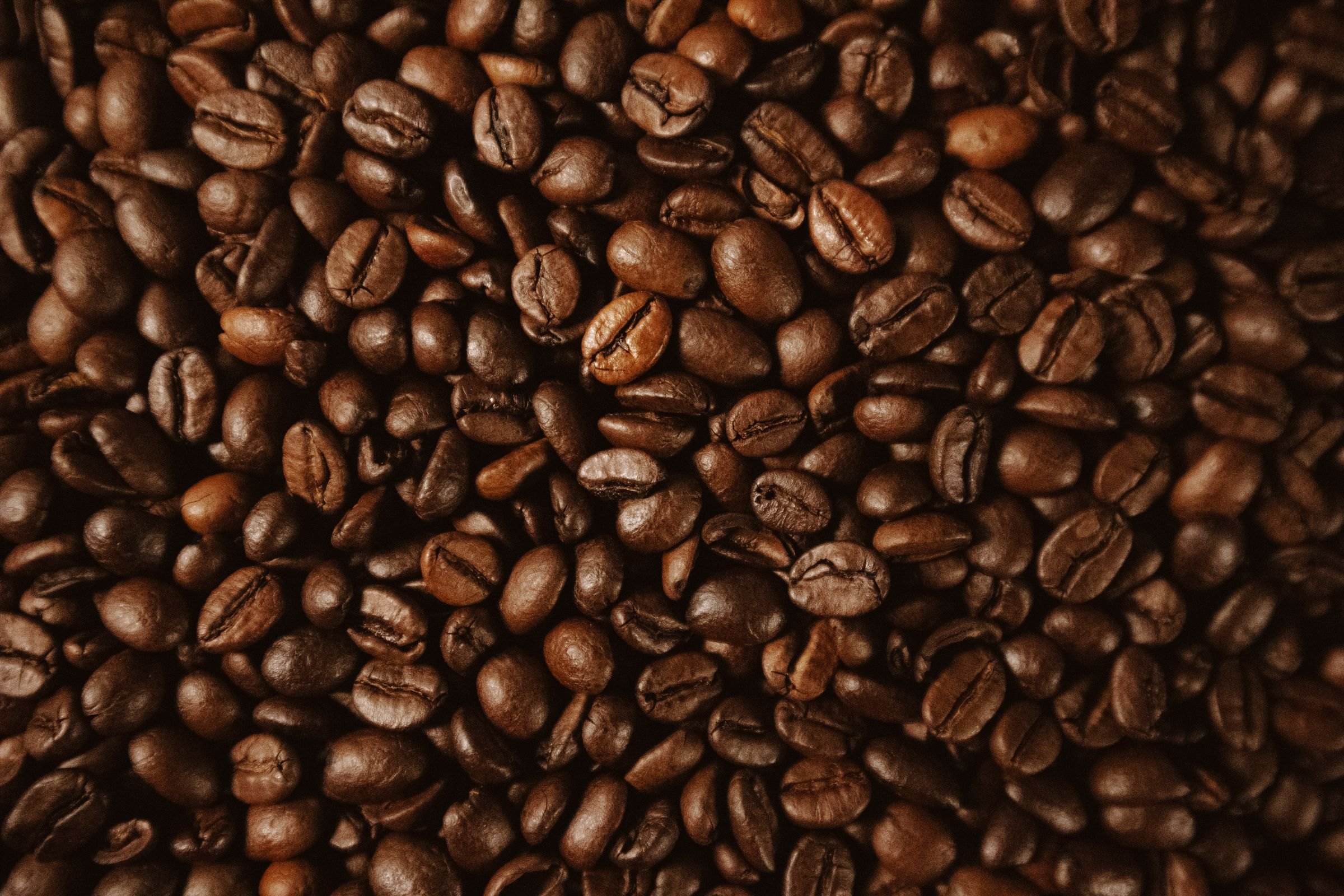A close-up of dark roasted coffee beans